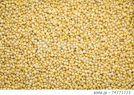 millet grain background millet grain background 74771723