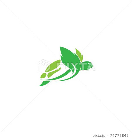 Turtle logo icon vector template illustration design concept 74772845