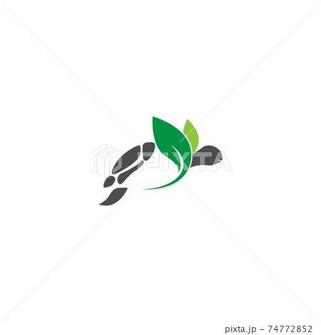 Turtle logo icon vector template illustration design concept 74772852
