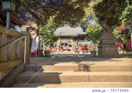厄除けの神様 太子堂八幡神社 厄除けの神様 太子堂八幡神社 74773494