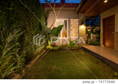 Tropical Backyard Garden at Night with Various of Plants 74773680