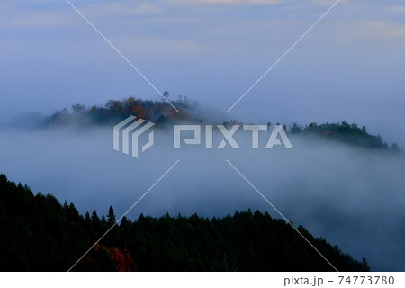 亀岡盆地の雲海 亀岡盆地の雲海 74773780