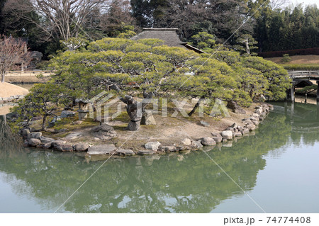 冬の岡山後楽園 74774408