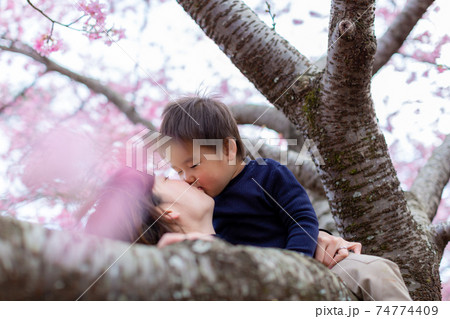 家族写真 花見 家族写真 花見 74774409