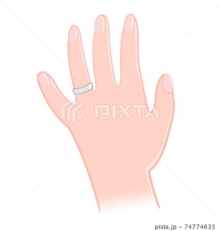 手 指輪 女性 リング 結婚 イラスト素材のイラスト素材