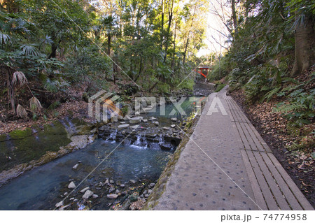 等々力渓谷公園　朝の歩道　散策路 74774958