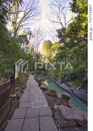 等々力渓谷公園　朝の歩道　散策路 74774967