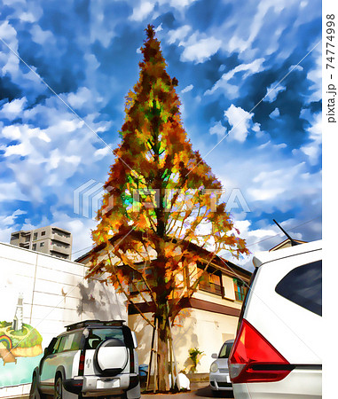 Abstract impression of a dead and dried out pine tree, in a car park. Abstract impression of a dead and dried out pine tree, in a car park. 74774998