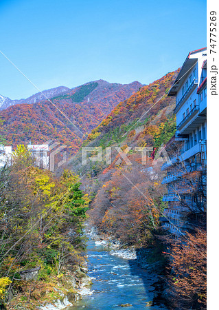水上橋からの景色 利根川 水上温泉 水上橋からの景色 利根川 水上温泉 74775269