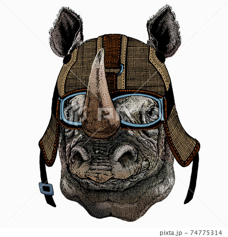 Vector portrait of rhinoceros, rhino. Wild african animal. 74775314