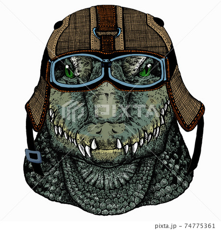 Crocodile head. Alligator portrait. African wild animal. Crocodile head. Alligator portrait. African wild animal. 74775361