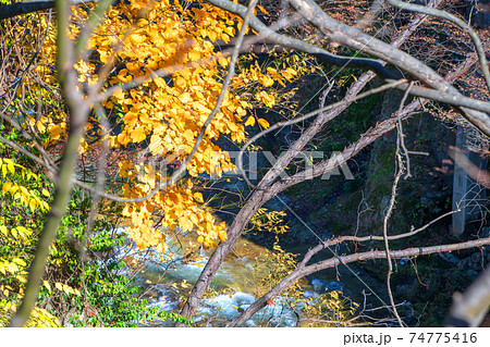 水上橋からの景色　利根川　水上温泉　　　 74775416