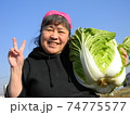 白菜の収穫 74775577