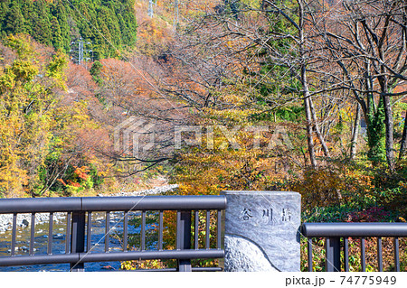 水上　谷川橋　利根川　　　 74775949