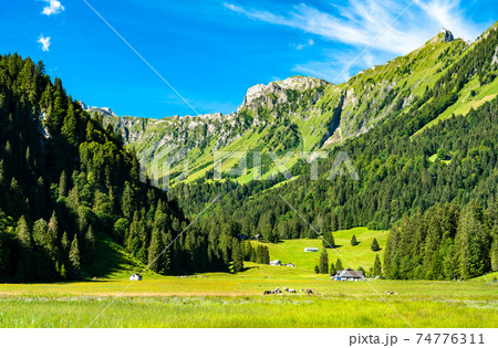 Landscape of the Obersee Valley in Switzerland 74776311
