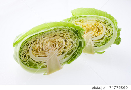 キャベツ キャベツ 74776360