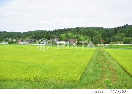 前谷地駅から柳津駅までの気仙沼線車窓からの風景 前谷地駅から柳津駅までの気仙沼線車窓からの風景 74777022