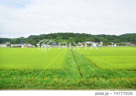 前谷地駅から柳津駅までの気仙沼線車窓からの風景 74777026