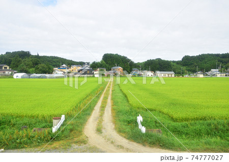 前谷地駅から柳津駅までの気仙沼線車窓からの風景 74777027