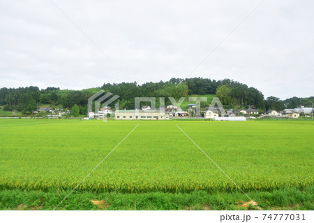 前谷地駅から柳津駅までの気仙沼線車窓からの風景 74777031