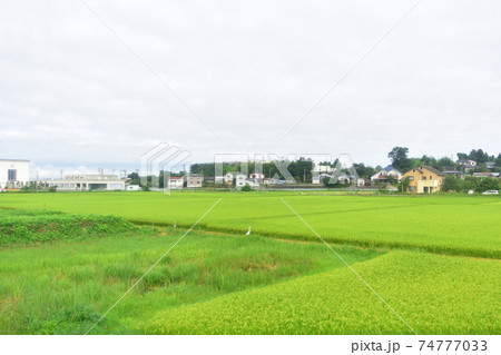 前谷地駅から柳津駅までの気仙沼線車窓からの風景 前谷地駅から柳津駅までの気仙沼線車窓からの風景 74777033