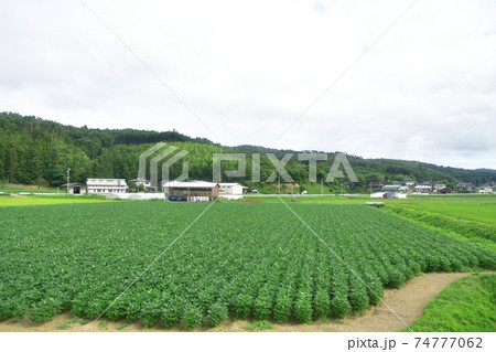 前谷地駅から柳津駅までの気仙沼線車窓からの風景 74777062