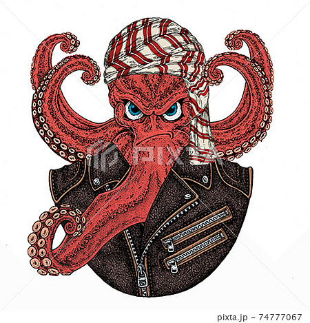 Wild animal wearing keffiyeh or kufiya. Animal head. 74777067