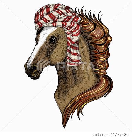 Wild animal wearing keffiyeh or kufiya. Animal head. Wild animal wearing keffiyeh or kufiya. Animal head. 74777480