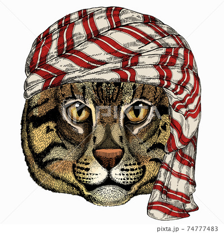 Wild animal wearing keffiyeh or kufiya. Animal head. Wild animal wearing keffiyeh or kufiya. Animal head. 74777483