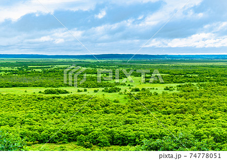 北海道 釧路湿原　釧路市湿原展望台からの眺望 74778051