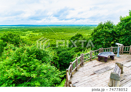 北海道 釧路湿原 釧路市湿原展望台 北海道 釧路湿原 釧路市湿原展望台 74778052