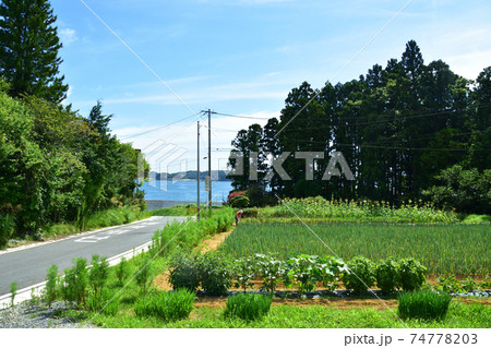 柳津駅から気仙沼駅までの気仙沼線BRT車窓からの風景 74778203