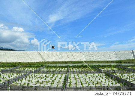 柳津駅から気仙沼駅までの気仙沼線BRT車窓からの風景 柳津駅から気仙沼駅までの気仙沼線BRT車窓からの風景 74778271