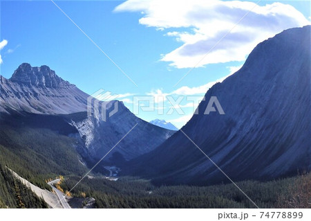 ビッグヒル Canada ビッグヒル Canada 74778899