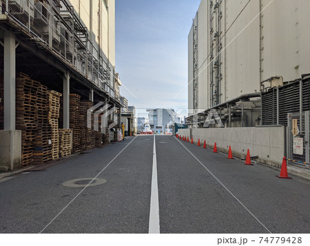 豊海水産埠頭周辺 74779428