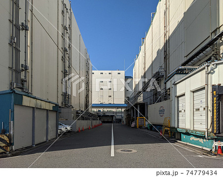 豊海水産埠頭周辺 豊海水産埠頭周辺 74779434