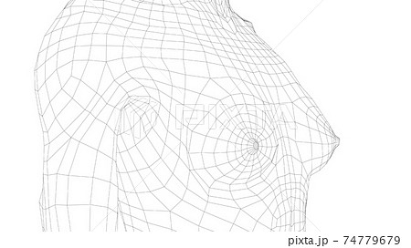 Wireframe female breast. Close-up view Wireframe female breast. Close-up view 74779679