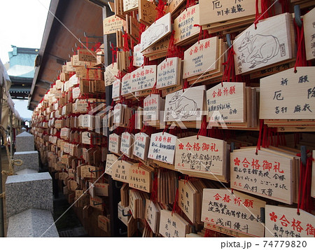 大阪天満宮 梅祭り 梅花 松 盆栽 盆梅 繁盛亭 受験 絵馬の写真素材