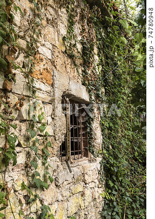 The wall of an abandoned building overgrown with plants and a window with bars and cobwebs 74780948