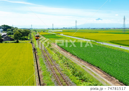 【青森県津軽地方】津軽の水田地帯と岩木山 74781517