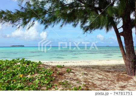 サイパン島　マイクロビーチ　ビーチ沿い 74781751