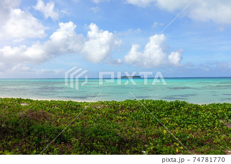 サイパン島　マイクロビーチ北方面　ビーチ沿い 74781770