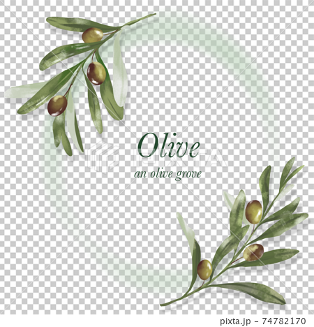 Frame Material Olive Branch Green Ring Stock Illustration