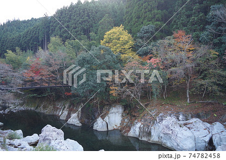 大分県 中津市 山国町 猿飛千壺峡の白い奇岩と紅葉 74782458