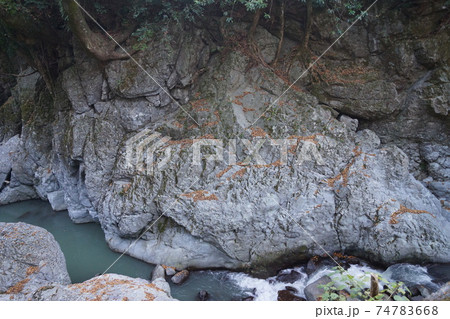 大分県 中津市 山国町 猿飛千壺峡の魔林峡 大分県 中津市 山国町 猿飛千壺峡の魔林峡 74783668
