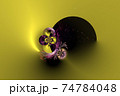美しくゴージャスなテクスチャー 74784048