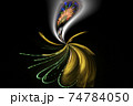 美しくゴージャスなテクスチャー 74784050