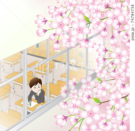 桜咲く春の学校の教室の窓際に座る男子生徒 桜咲く春の学校の教室の窓際に座る男子生徒 74784738