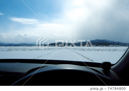 農道を横断して雪の田を移動する白鳥の群れを車の運転席から見守っている場面 … 島根県 安来市(晴れ) 農道を横断して雪の田を移動する白鳥の群れを車の運転席から見守っている場面 … 島根県 安来市(晴れ) 74784800