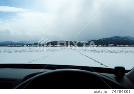 農道を横断して雪の田を移動する白鳥の群れを車の運転席から見守っている場面 … 島根県 安来市（晴れ） 74784801